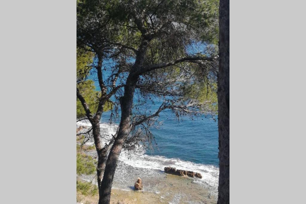 Vila El Poblet 36 Denia Exteriér fotografie